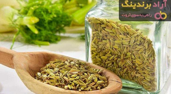 عکس رازیانه خشک