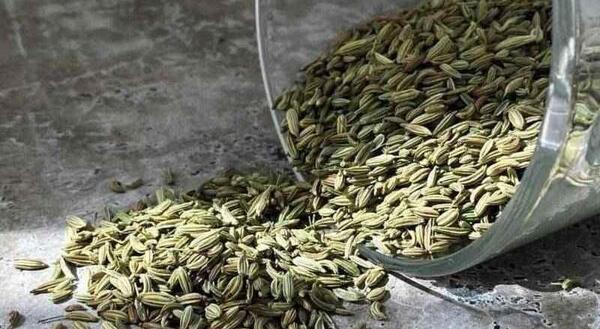 عکس رازیانه خشک
