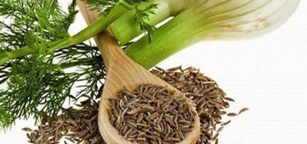 عکس رازیانه خشک