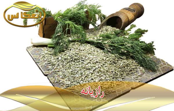 عکس رازیانه خشک