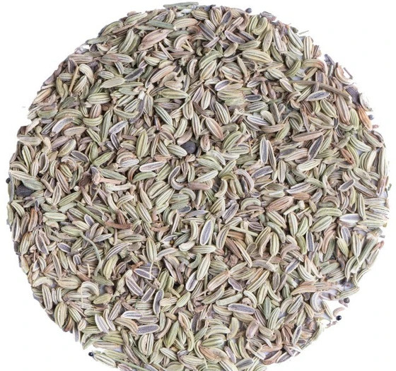 عکس رازیانه خشک