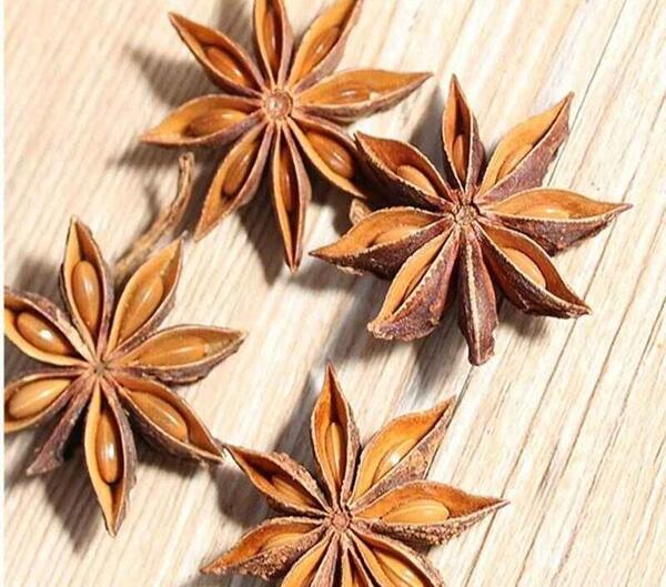 عکس رازیانه خشک