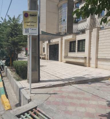 عکس پیتزا شلمان