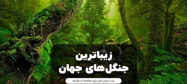 عکس از طبیعت جنگل گلستان