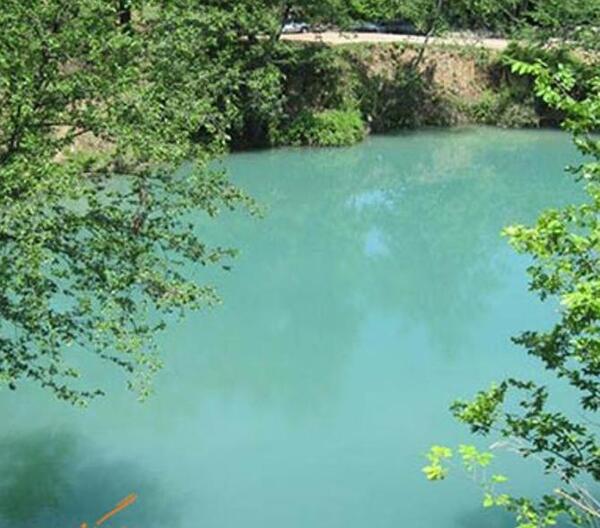 عکس از طبیعت جنگل گلستان