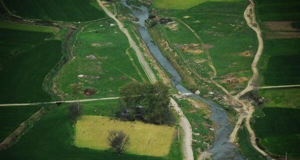 عکس از طبیعت جنگل گلستان
