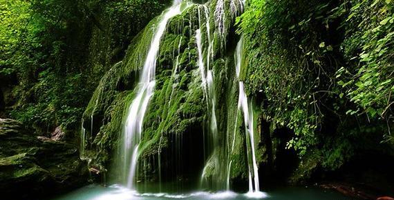 عکس از طبیعت جنگل گلستان