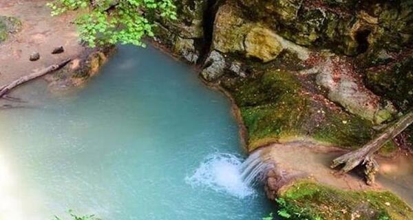 عکس از طبیعت جنگل گلستان