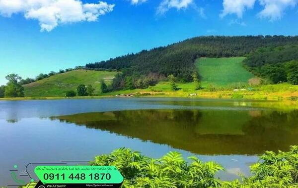 عکس از طبیعت جنگل گلستان