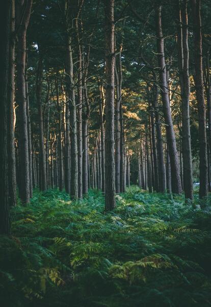 عکس تصویر پس زمینه لندن