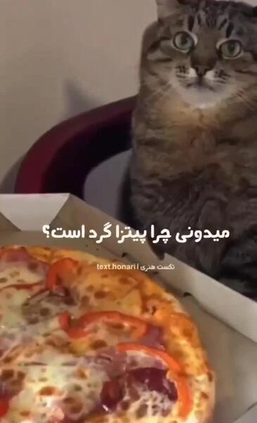 عکس مدل ناخن نوعروس