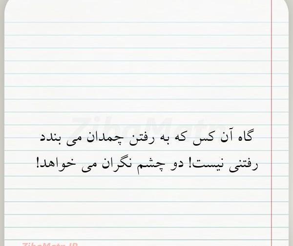 عکس نوشته زندگی یک چمدان است که می آوریش