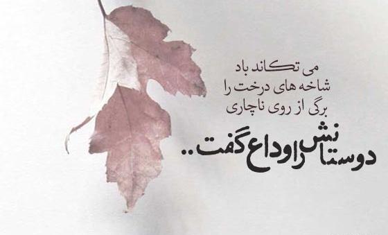 عکس نوشته زندگی یک چمدان است که می آوریش