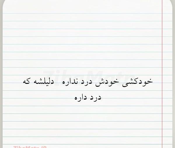 عکس نوشته زندگی یک چمدان است که می آوریش