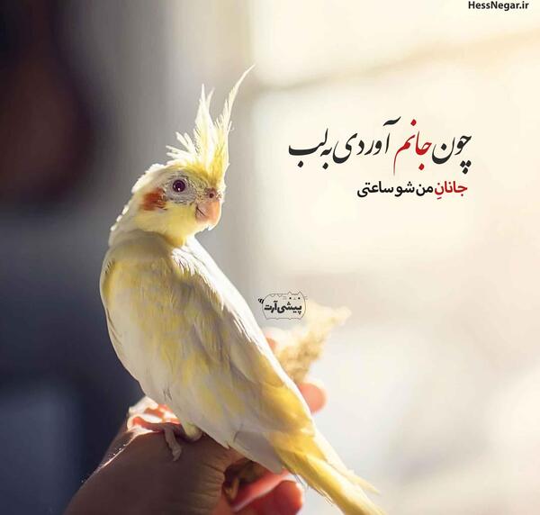 عکس نوشته باحال مردانه