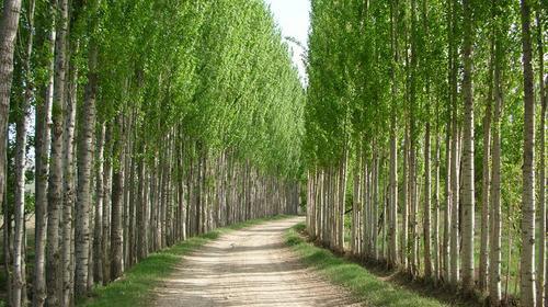عکس زلزله خانه زنیان