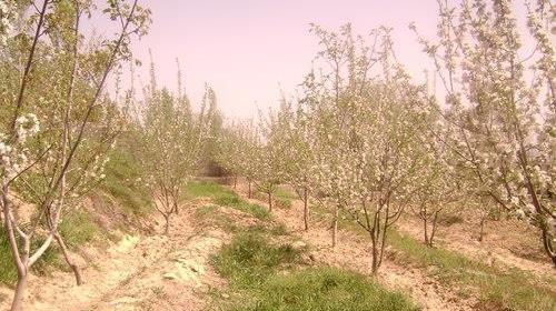 عکس زلزله خانه زنیان
