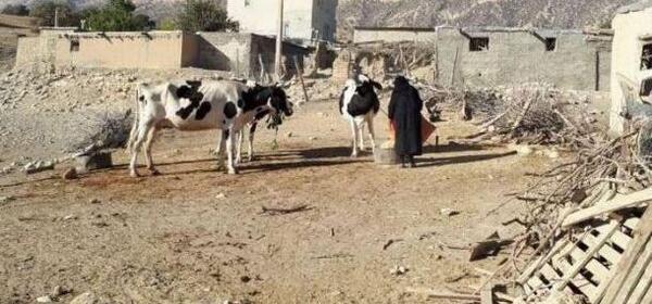 عکس آقای کاظم قلم چی