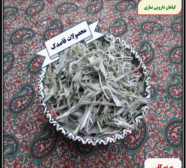 عکس مریم نمازی