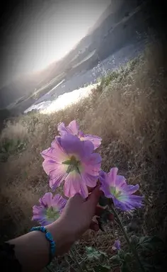 عکس نوشته خدا جونم مرسی که هستی