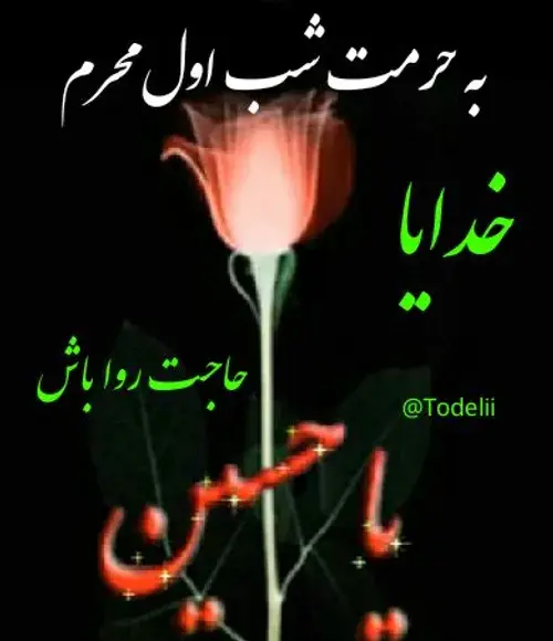 عکس شب اول محرم