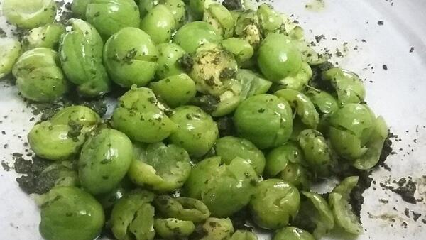عکس نمک سبز