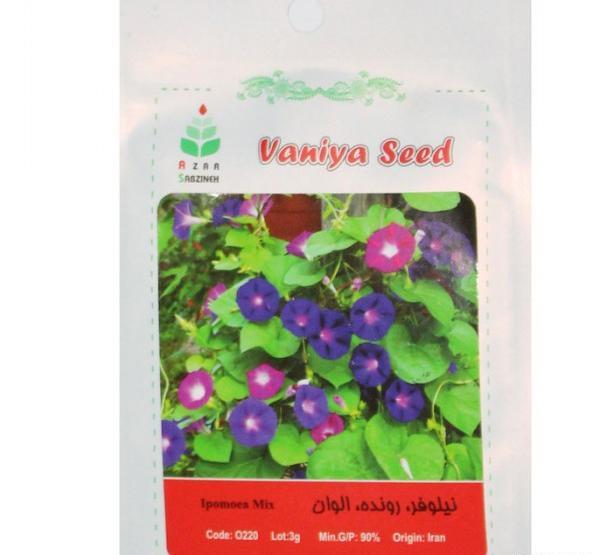 عکس گوینده جوکر