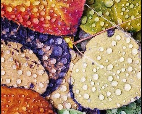 عکس تصاویر بارانی عاشقانه