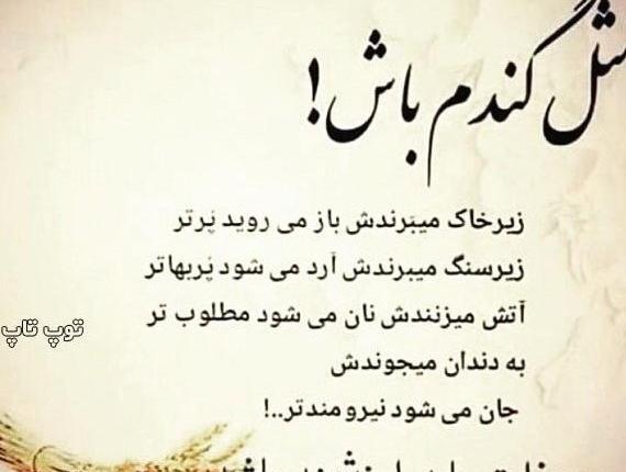 دانلود عکس پروفایل ذات خراب
