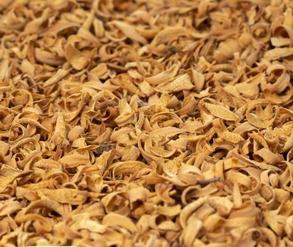 عکس بهار نارنج خشک
