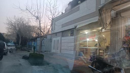 عکس گوشفیل
