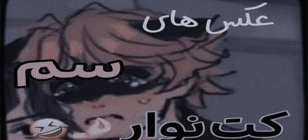 عکس کیوت کت نوار