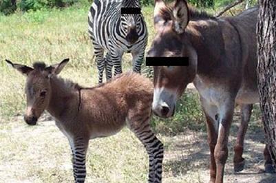 عکس بهنوش بختیاری با گریم