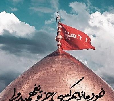 عکس حرم امام حسین پروف