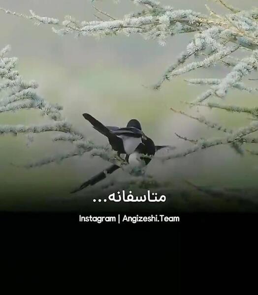 عکس وضعیت واتساپ حرف سنگین