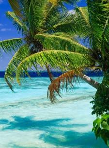 عکس دریا صفحه گوشی