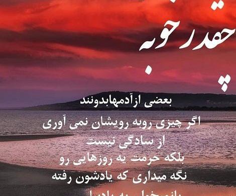 عکس مرغ عشق ناز