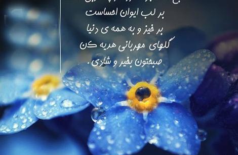 عکس نوشته آرزوی خوشبختی برای عشقت