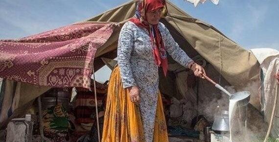 عکس حیوانات روستایی