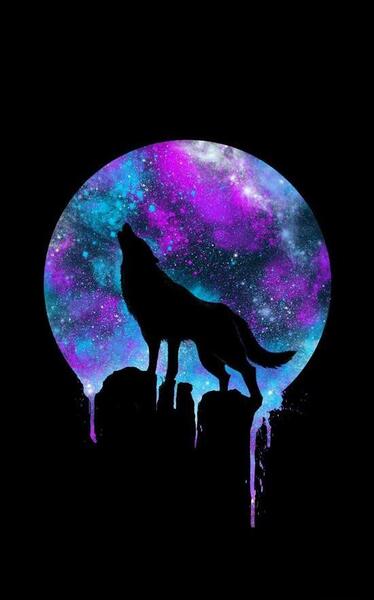 عکس گرگ تنها با متن