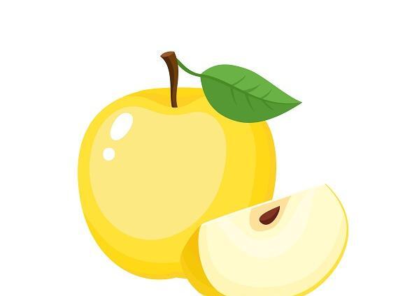 عکس وکتور سیب