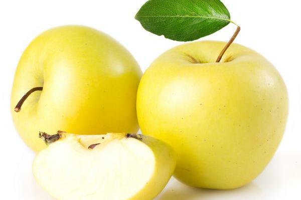 عکس وکتور سیب