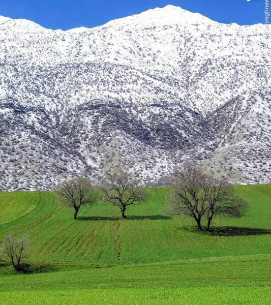 عکس بهاری لرستان