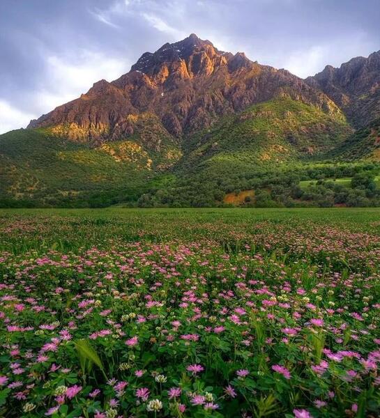عکس بهاری لرستان