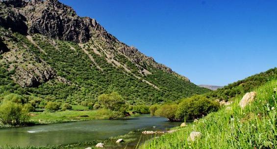 عکس بهاری لرستان