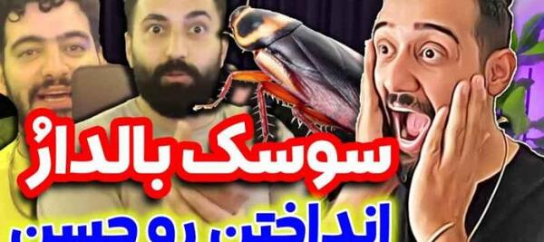عکس سوسک آ