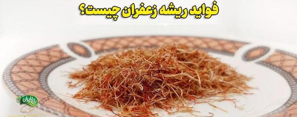عکس تصویر زرشک کوهی