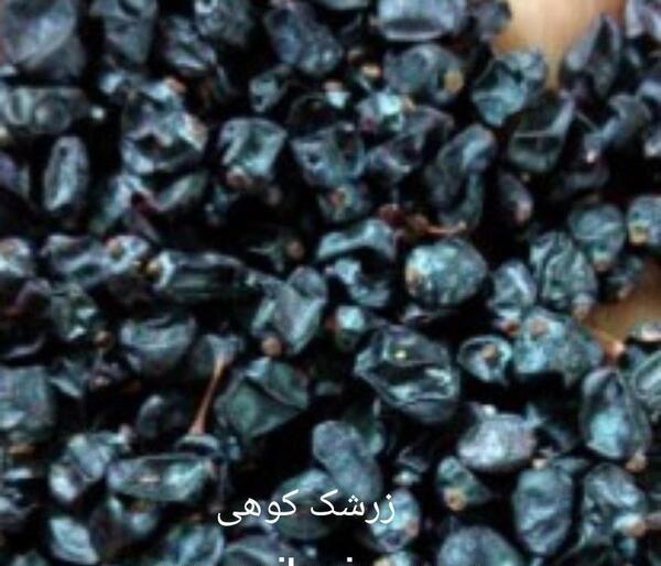عکس تصویر زرشک کوهی
