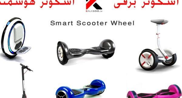 عکس های جوجه تیغی خانگی