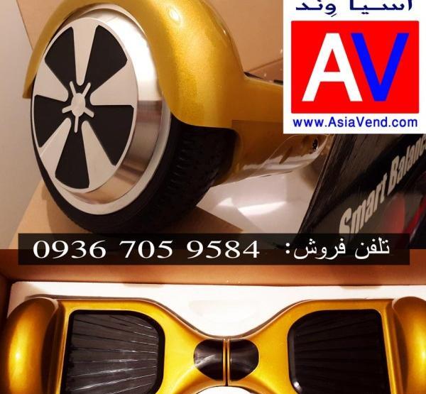 عکس های جوجه تیغی خانگی